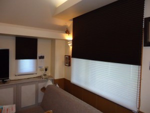 プリーツスクリーン フィーユ2